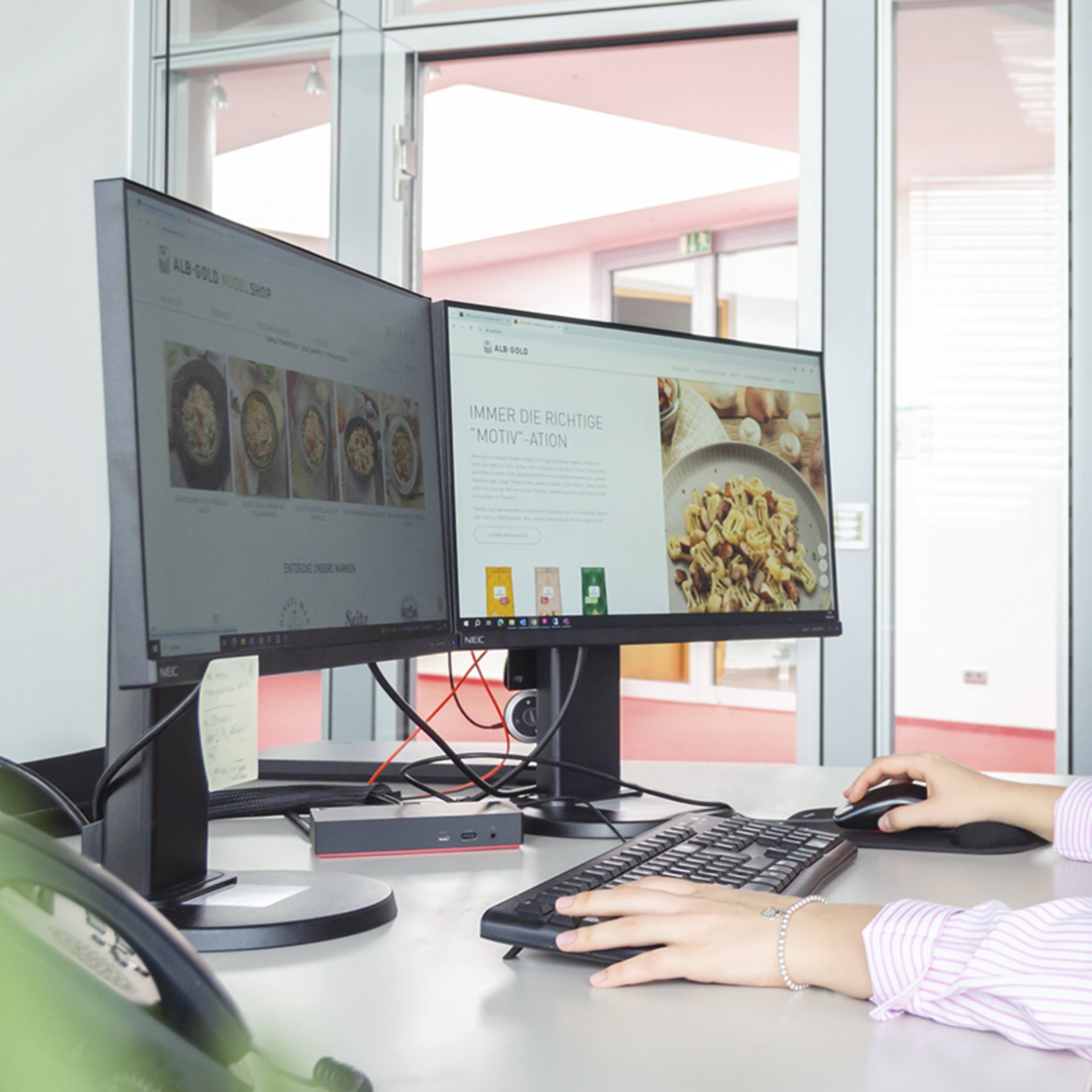Person am Schreibtisch mit zwei Monitoren zeigt Website von ALB-GOLD