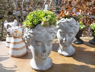 Mehrere kleine Pflanzgefäße aus Stein, darunter eine Katzenfigur mit braunen Streifen und ein Gefäß mit grünen Sukkulenten.