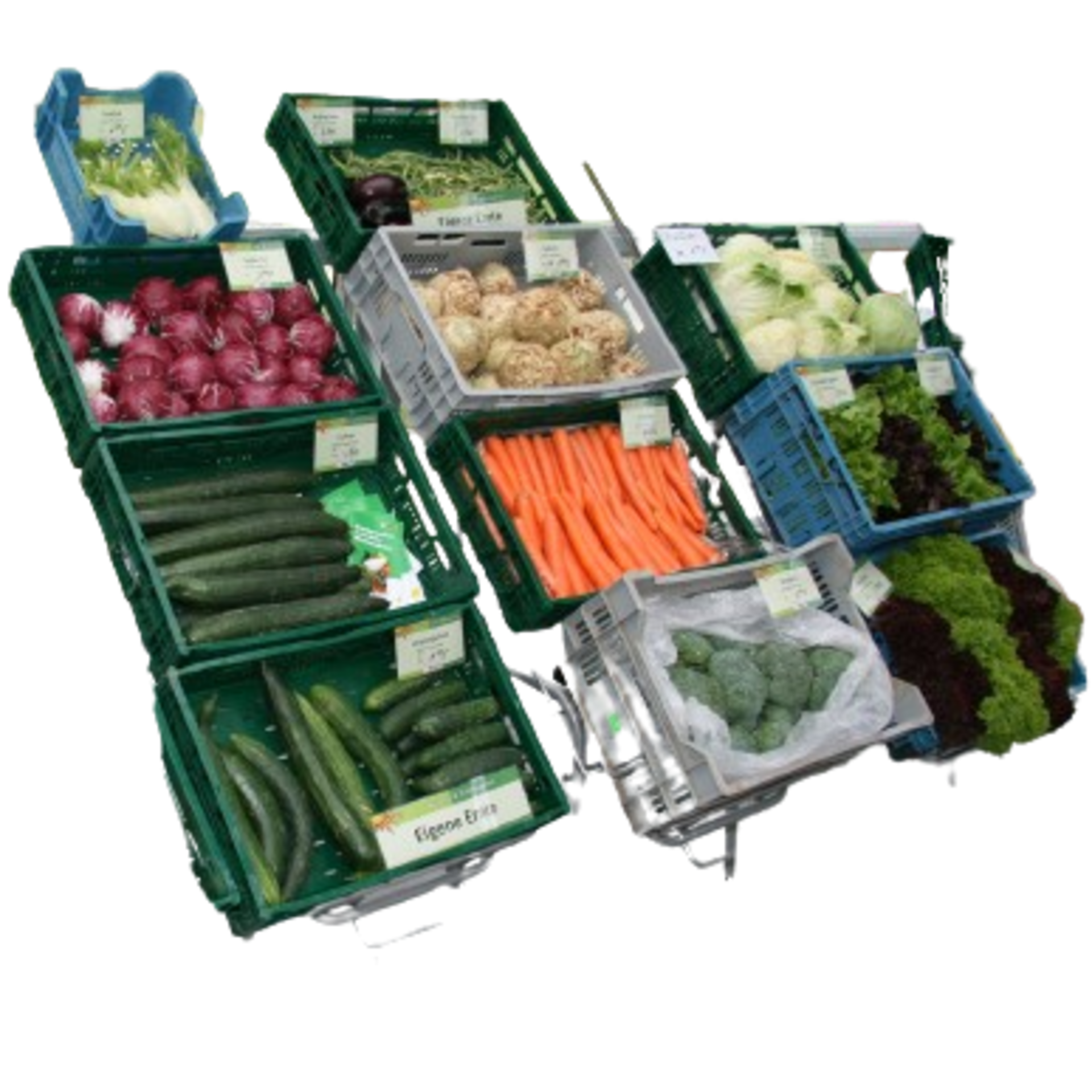 Mehrere Kisten mit frischem Gemüse wie Gurken, Karotten, Blumenkohl, Brokkoli und Zwiebeln in einem Verkaufsdisplay