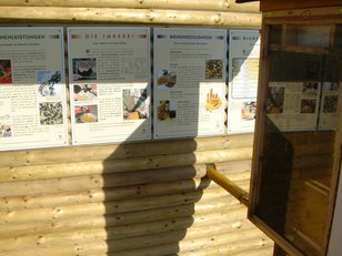 Informationsschilder an einem hölzernen Bienenschaukasten mit Erklärungen zur Bienenhaltung und zum Bienenstockaufbau
