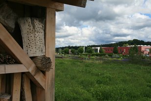Wildbienenhaus aus Holz mit Nisthilfen, im Hintergrund grüne Wiese und Gebäude unter bewölktem Himmel, Eröffnung des Wildbienenhauses