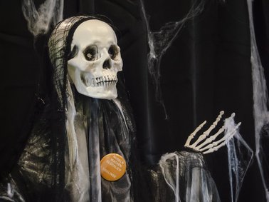 Skelettfigur mit schwarzem Umhang und orangefarbenem Button vor schwarzem Hintergrund mit künstlichen Spinnweben.