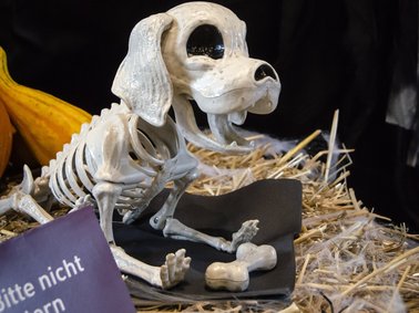 Skelett eines Hundes sitzt auf Stroh, vor ihm liegen Knochen, daneben eine schwarze Spinne und ein Schild mit der Aufschrift 'Bitte nicht füttern'.