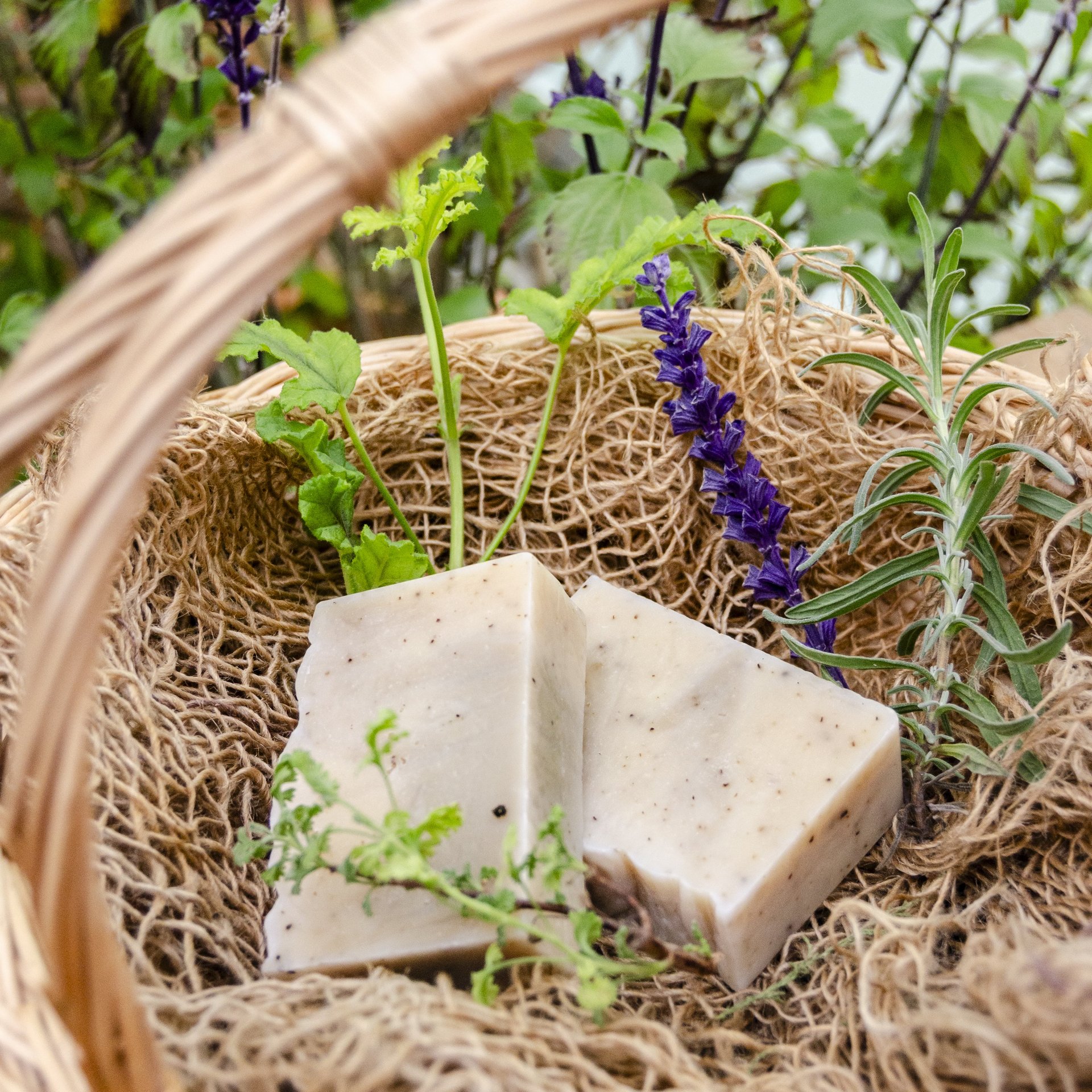 Zwei rechteckige Seifenstücke in einem Korb mit Naturfasern und grünen Pflanzen sowie einer lila Blüte