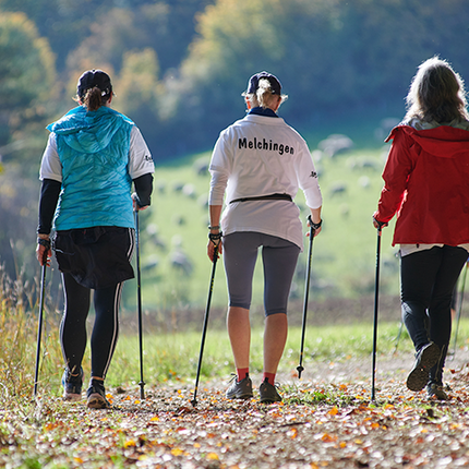 Gruppe von Personen, die beim Nordic Walking in der Natur unterwegs sind.