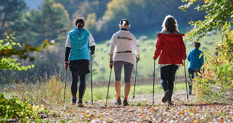 Gruppe von Personen, die beim Nordic Walking in der Natur unterwegs sind.