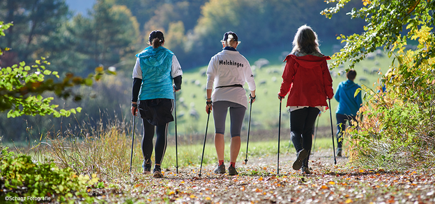 Gruppe von Personen, die beim Nordic Walking in der Natur unterwegs sind.