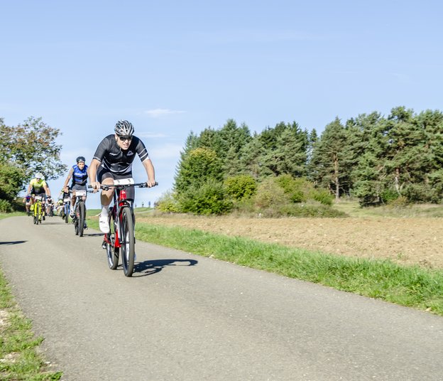 Radfahrer in Sportkleidung fahren auf einer Landstraße mit Bäumen und Feldern im Hintergrund.