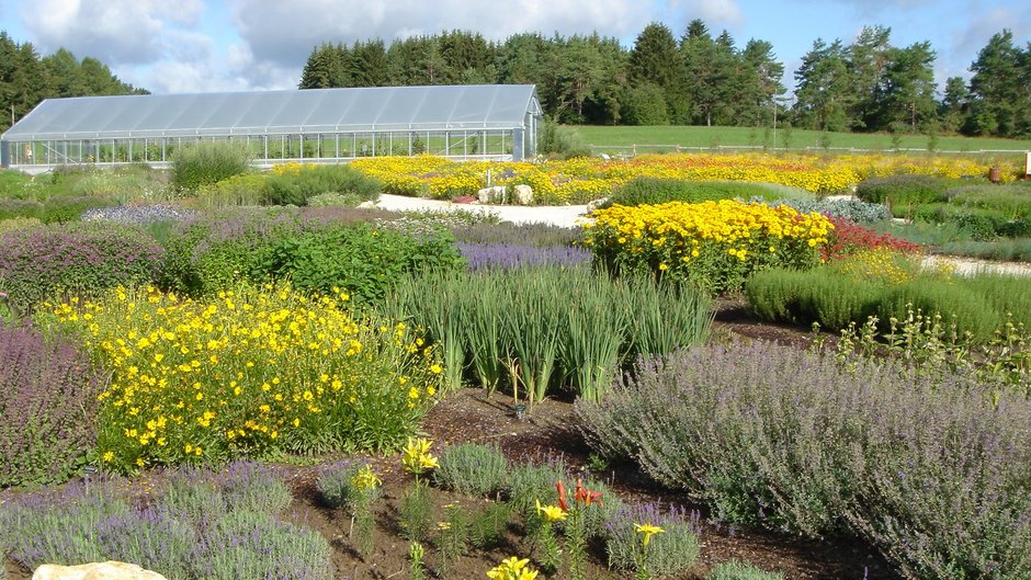 Ein Garten, der eine Vielzahl von Pflanzen in unterschiedlichen Farben und Formen zeigt.