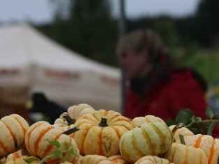 Markt mit Kürbissen und unscharfer Person im Hintergrund