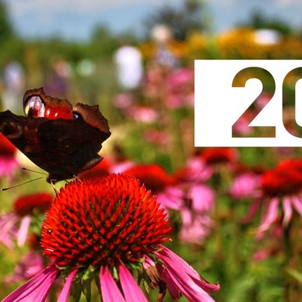 20 Jahre Naturgarten