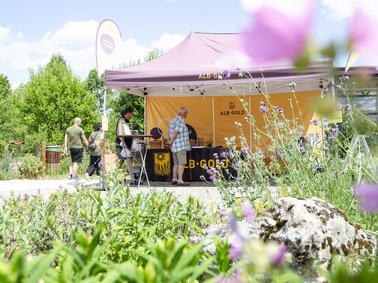 Ein aufgebauter Pavillion umgeben von Blumen und PFlanzen