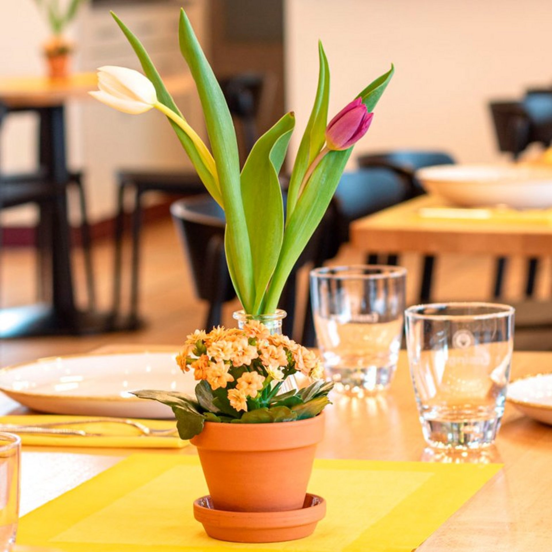 Blumentopf mit Tulpen als Tischdeko im Restaurant.