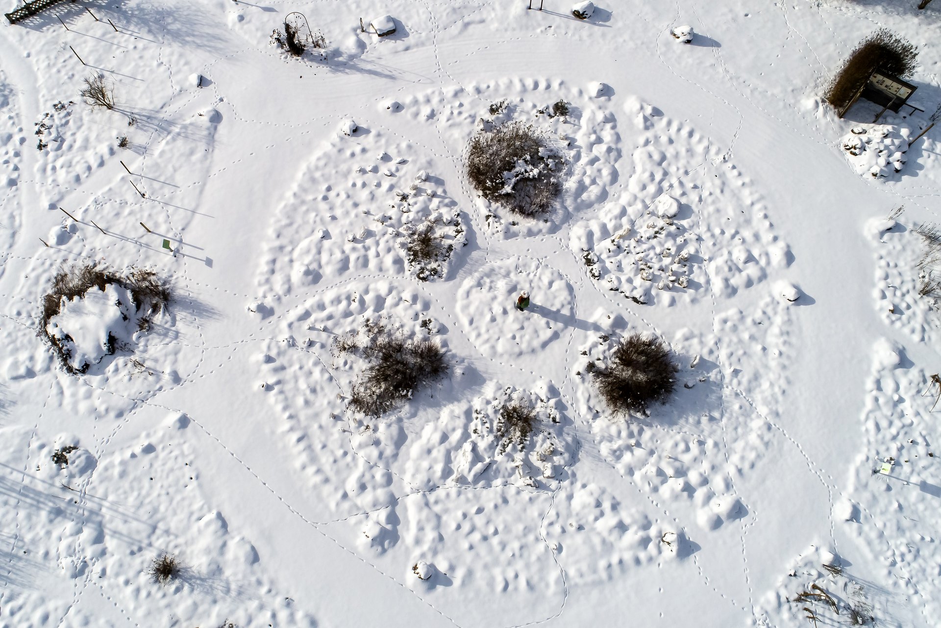  Luftaufnahme einer verschneiten Landschaft mit Pflanzen und Fußabdrücken im Schnee.