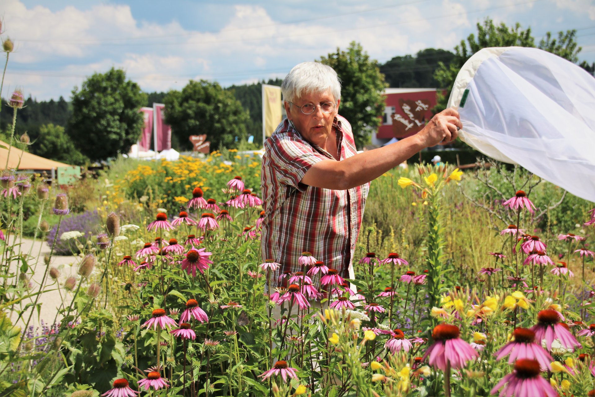 Eine ältere Person arbeitet im Blumenfeld mit verschiedenen Blumen.
