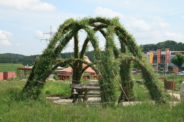 Weidenpavillon aus grünen, gebogenen Weidenruten auf einer Wiese mit Holzbänken darunter, ländliche Umgebung im Hintergrund