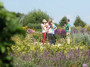 Frühlingsansicht eines blühenden Gartens mit Besuchern