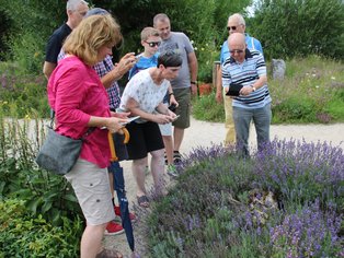 Gruppe von Besuchern, die Lavendel im Garten betrachten.