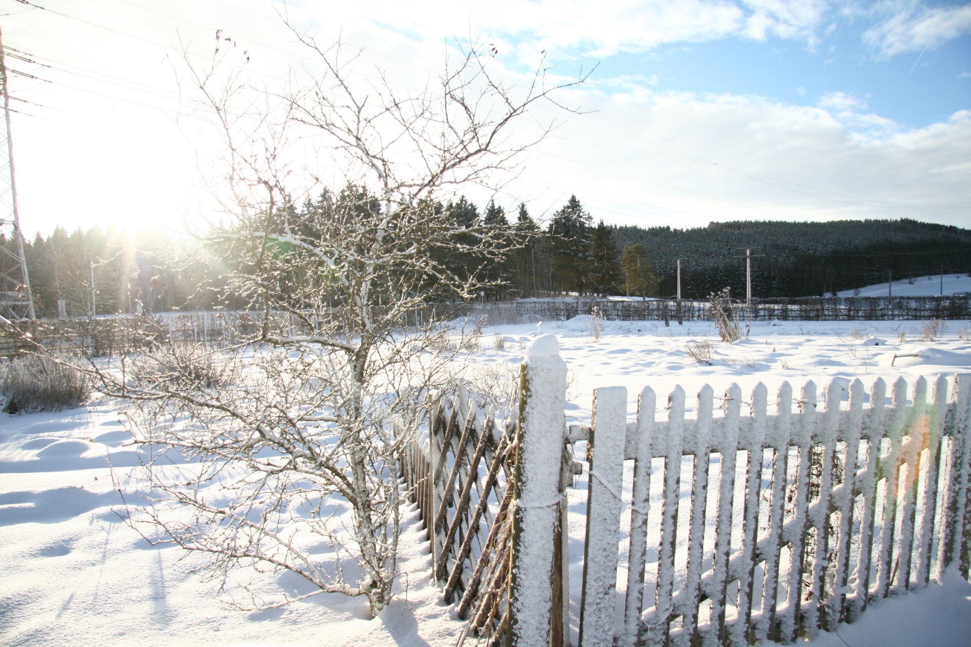 Schneebedeckte Landschaft mit einem Holzzaun und Bäumen im Hintergrund.