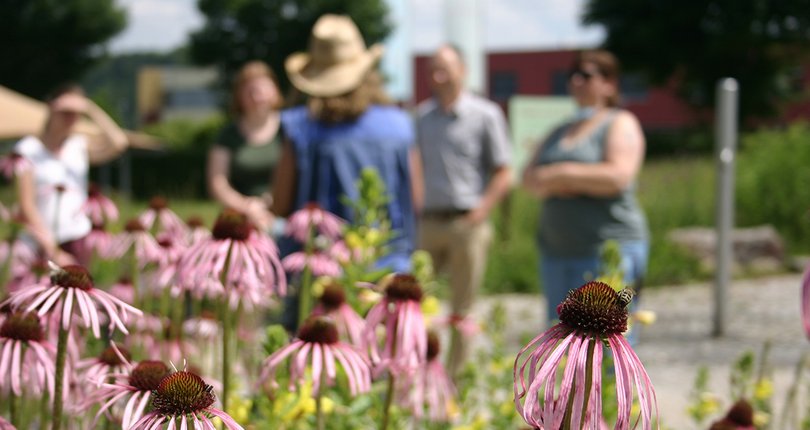 Öffentliche Führungen