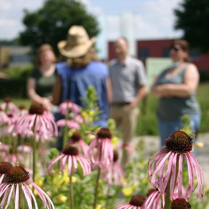 Öffentliche Führungen