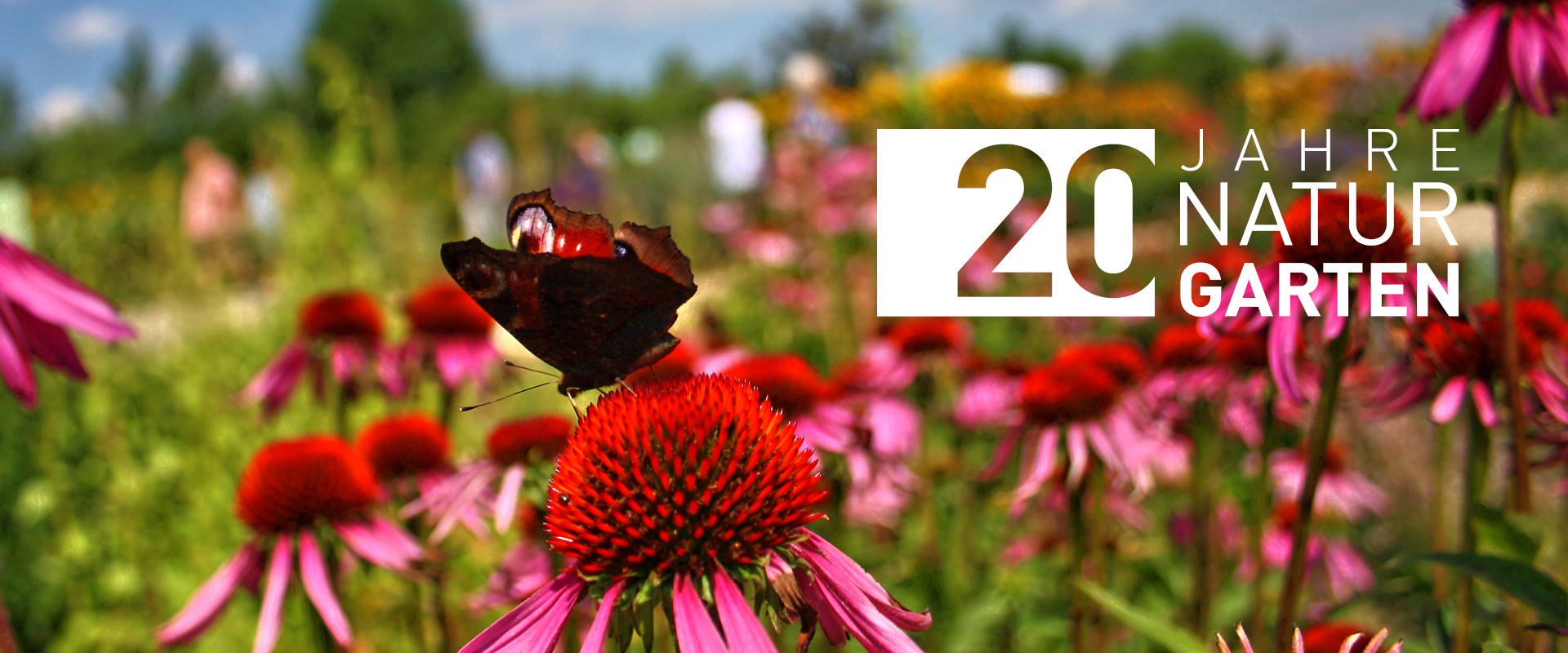 Bunte Blüten in einem naturnahen Garten mit dem Schriftzug '20 Jahre Natur im Garten'
