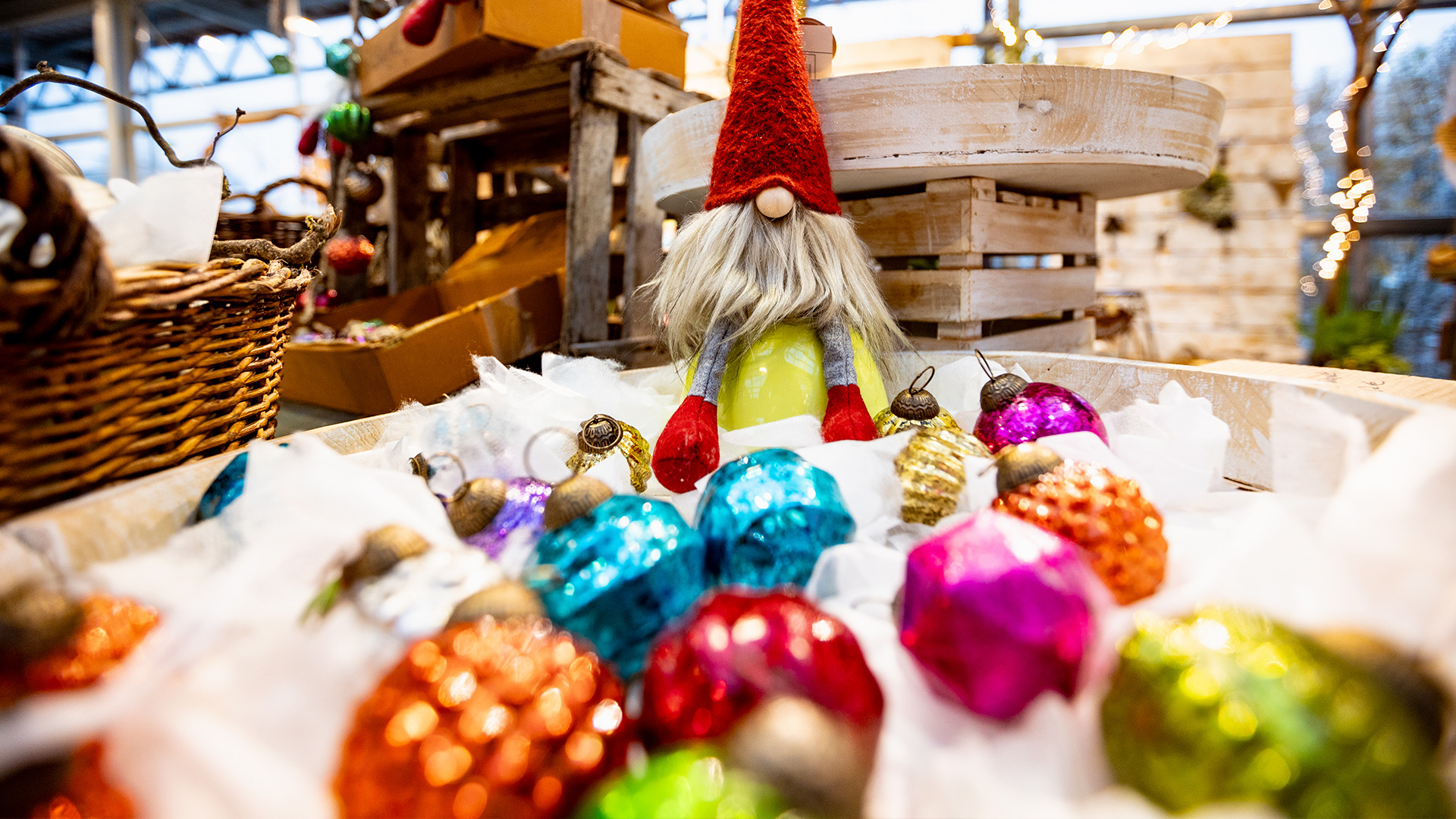 Ein Weihnachtsgnom steht zwischen bunten Weihnachtskugeln.